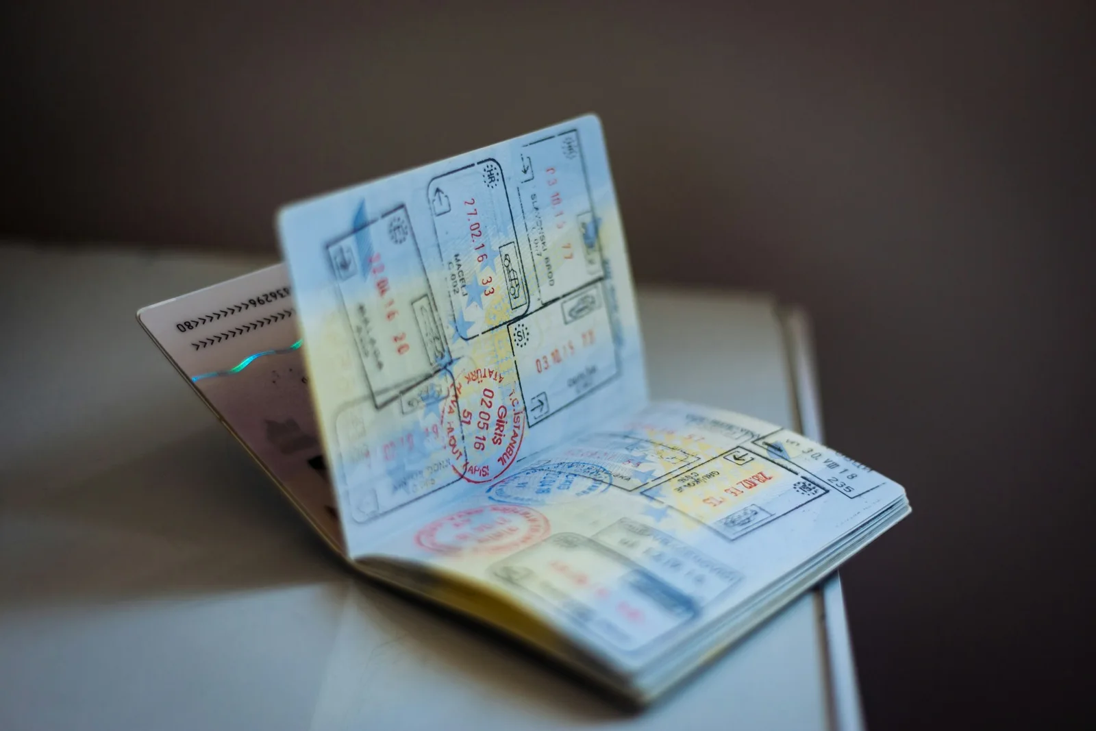 입국 도장이 여러 개 찍힌 여권